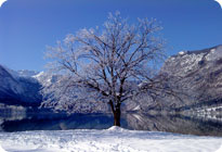 Appartements �tros Fanika, Stara Fu�ina - Bohinj - Slowenien - appartements, unterbringung, zimmer