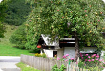 Apartmani �tros Fanika, Stara Fu�ina - Bohinj - Slovenija - apartmani, smje�taj, sobe