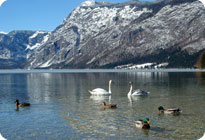 Apartmani �tros Fanika, Stara Fu�ina - Bohinj - Slovenija - apartmani, smje�taj, sobe